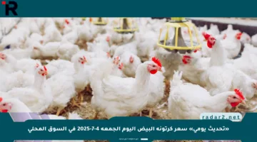 «تحديث يومي» سعر كرتونة البيض اليوم الجمعة 4-7-2025 في السوق المحلي